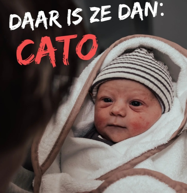 cato